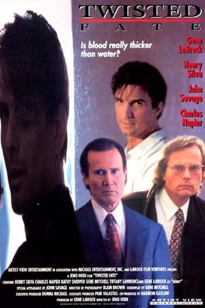 Poster Twisted Fate (1995)