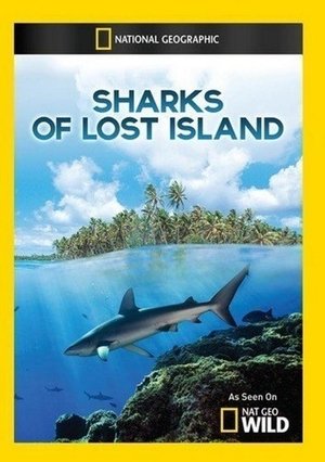Poster Sharks of Lost Island 2017