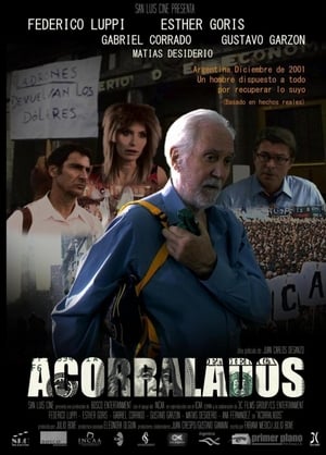 Acorralados poster