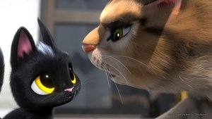 ดูหนัง Rudolf The Black Cat (2016) รูดอล์ฟ เหมียวน้อยผจญเมือง