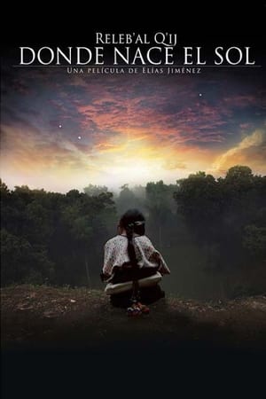 Poster Where the Sun is Born (2013)