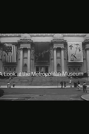 A Look at The Metropolitan Museum
