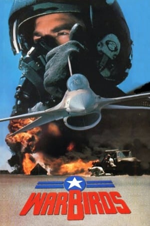 Poster Warbirds (1989)