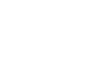 RoboGobo — Logos 11