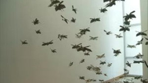 Origami and Worker’s Rug