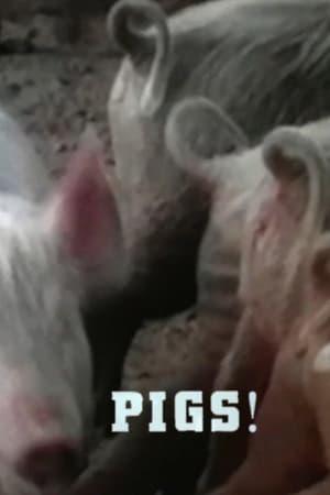 Image Pigs!