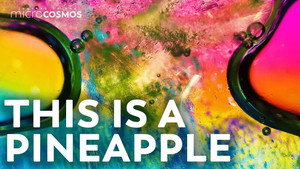 This Neon World Is Inside Your Fruit still