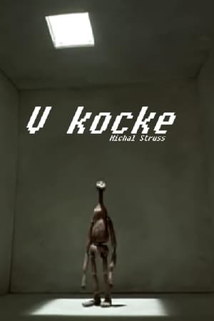 Poster V kocke 1999