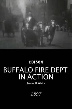 Buffalo Fire Department in action