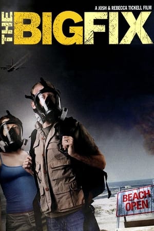 Poster The Big Fix (2011)