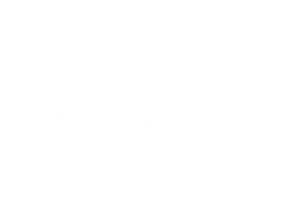 A Cinderella Story: Starstruck — Logos 4