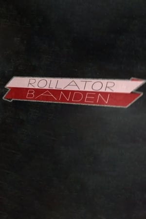 Image Rollator Banden