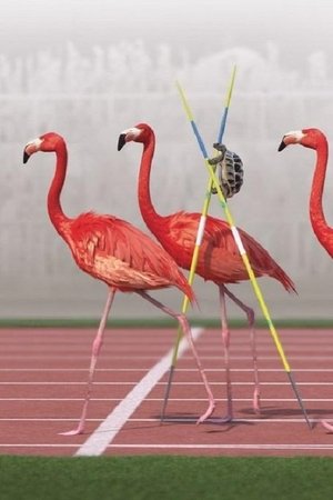 Nonton film Athleticus: Middle-Distance Race (2022) terbaru sub indo Nonton film Athleticus: Middle-Distance Race (2022) terbaru sub indo