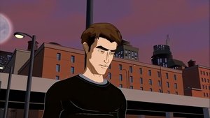 Spider-Man: The New Animated Series: 1×13