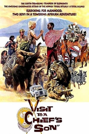 Poster Visit to a Chief's Son 1974