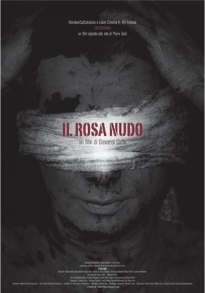 Poster Il Rosa Nudo 2013