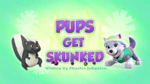 Image Pups Get Skunked