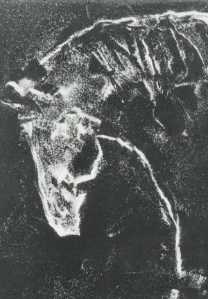 Herd