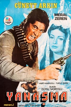 Poster Yanaşma (1973)