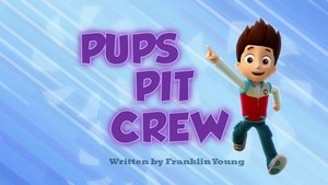 PAW Patrol: Patrulla de cachorros: 1×11