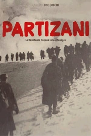 Poster Partizani (2015)