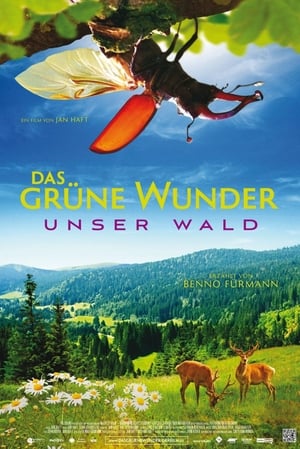 Poster Das grüne Wunder - Unser Wald 2012