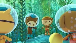 The Octonauts: 3×18