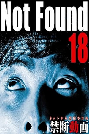 Not Found 18 film complet