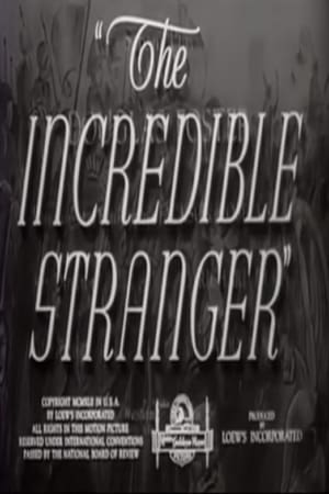 The Incredible Stranger poster