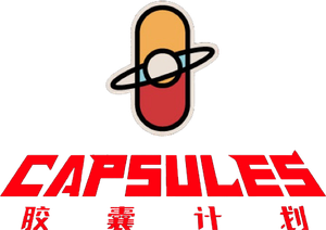 Capsule Project — Logos 5