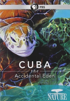 Poster Cuba: The Accidental Eden (2010)