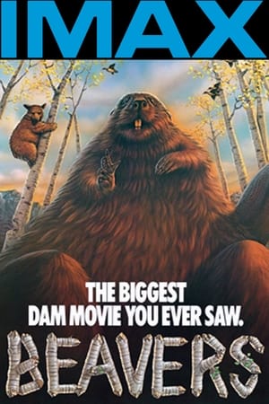 Beavers poster