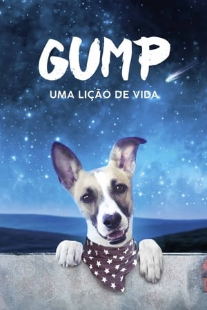 Gump: Uma Lição de Vida Torrent