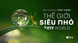 Thế Giới Siêu Nhỏ (Phần 1)