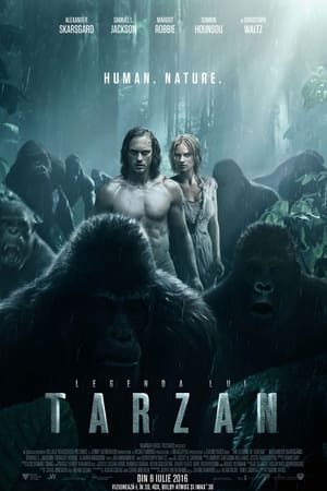 Poster Legenda lui Tarzan 2016