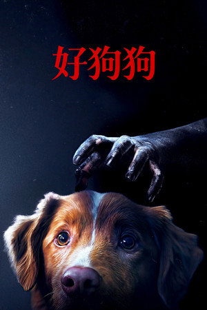 好狗狗