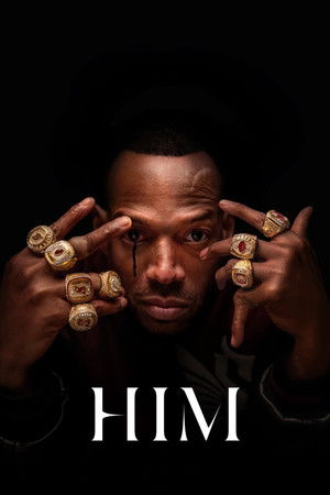 poster HIM