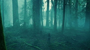 Twilight - Chapitre 1 : Fascination