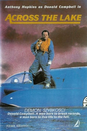 Poster Napříč jezerem 1988