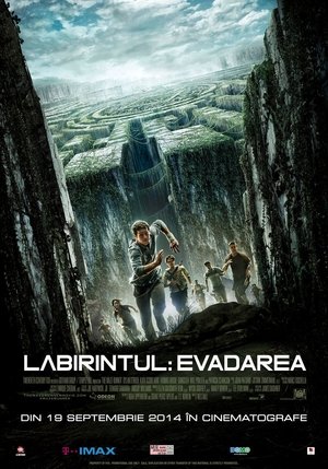 poster The Maze Runner
