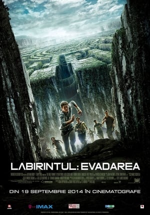 Image Labirintul: Evadarea