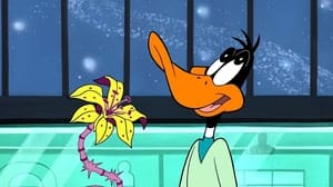 Duck Dodgers The Fast and the Feathery