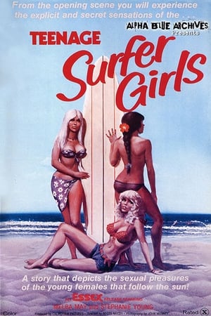 Poster Surfer Girls (1976)