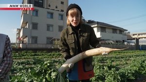 Nerima - The City of Agriculture and Animation