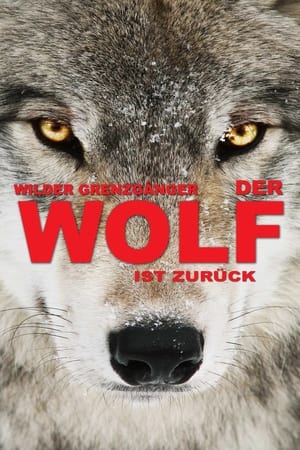 Image Wilder Grenzgänger - Der Wolf ist zurück