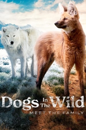 Poster Dogs in the Wild: Meet the Family 2022
