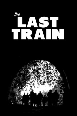 Image The Last Train