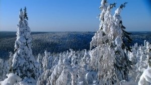 Wild Russia Urals