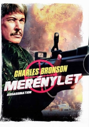 Poster Merénylet 1987