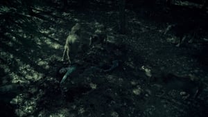 Hemlock Grove Temporada 3 Capitulo 10